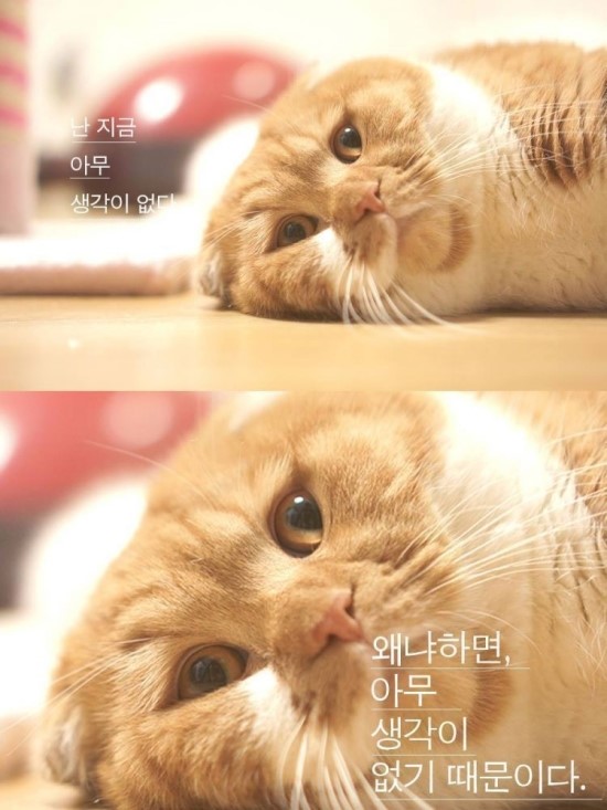 그러하다 이미지