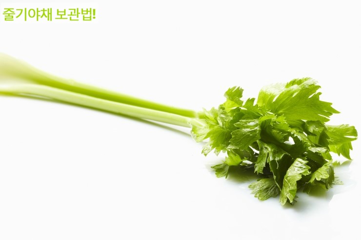 송이과일야채 이미지