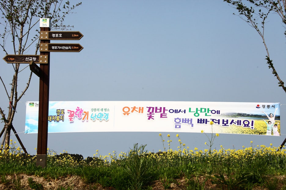 경포자원 이미지