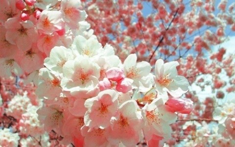 리안헤어 시화로데오점 이미지