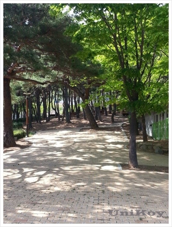 서남체육공원 이미지