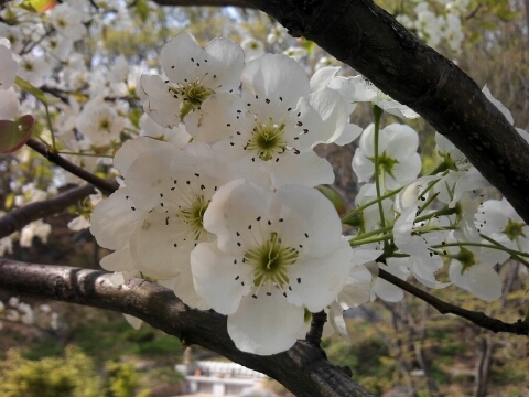 경희축산 이미지