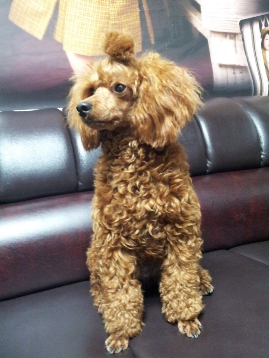 꼴통 이미지