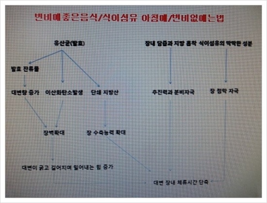 용성섬유 이미지