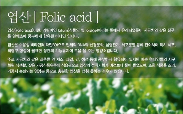 지엠관리 이미지