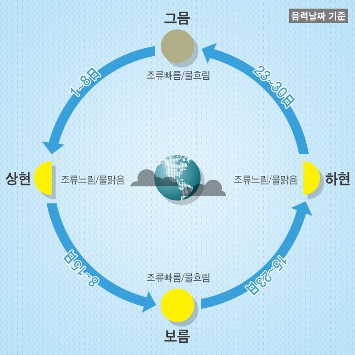 물때표 보는법 : 네이버 블로그