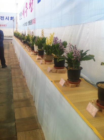 솔샘세차장 이미지