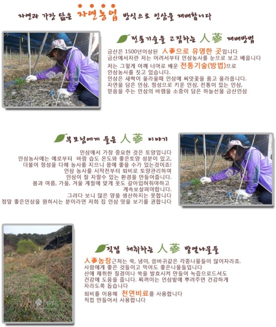 태을당 이미지
