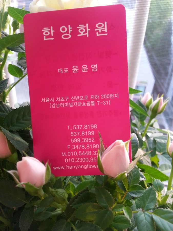 무궁화꽃화원 이미지