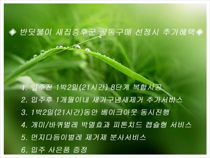 이지코퍼레이션 이미지
