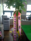 김덕수세무회계사무소 이미지
