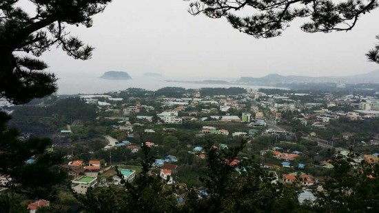 제주 자연속에서 이미지