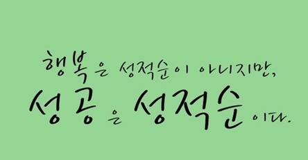 나무마케팅 이미지