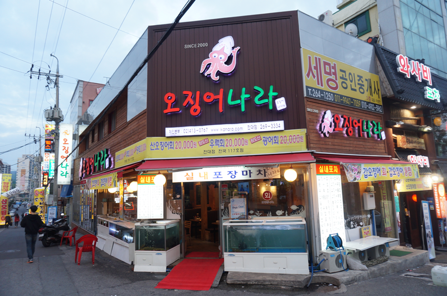 오징어나라 이미지