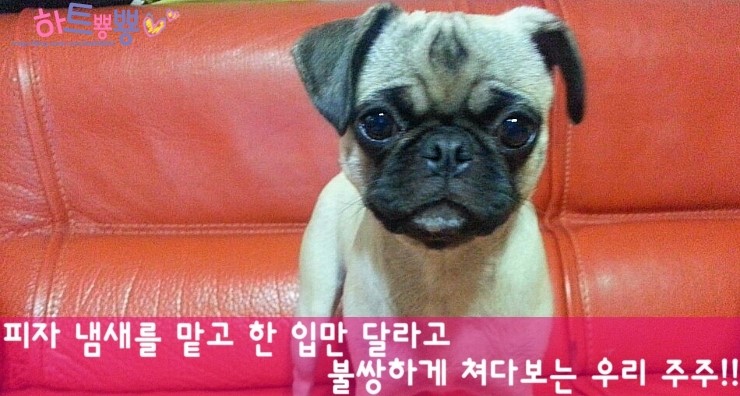 냠냠 이미지