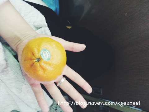 일일일잔 이미지