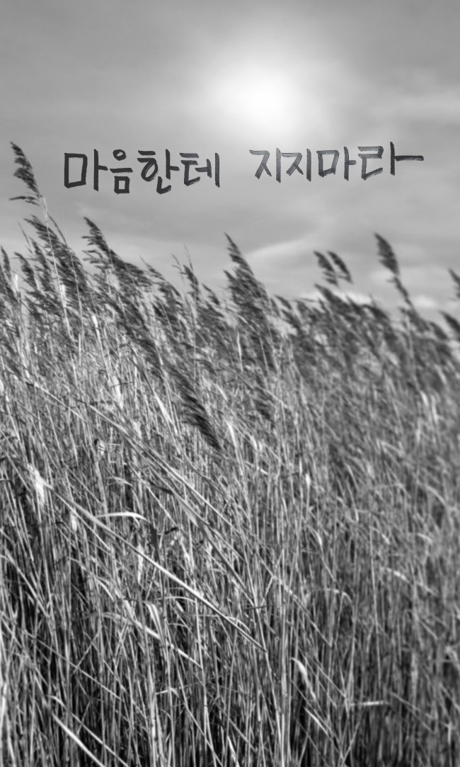 해피타임 이미지