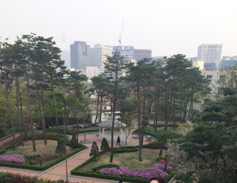 보나베티 이미지