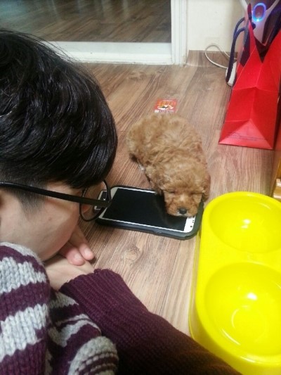 아이러브휴대폰 이미지