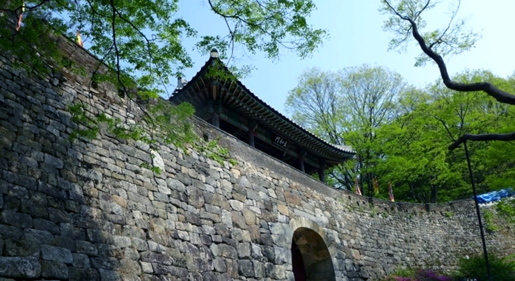 네파남한 이미지