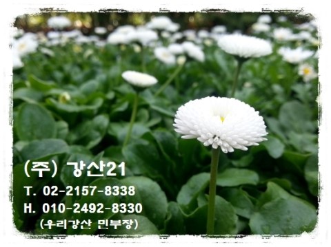 법인산촌생태마을 이미지