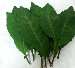 윤희네농장 이미지