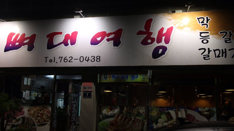 뼈대여행 이미지