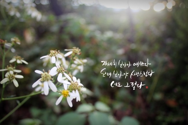 야식천국 이미지