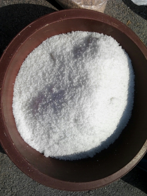 선운식당 이미지