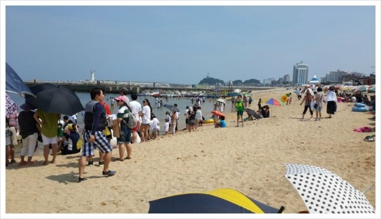 속초파워보트클럽 이미지