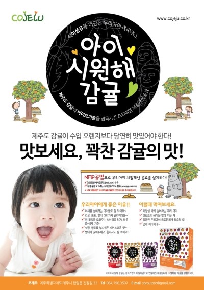 제주아이 이미지