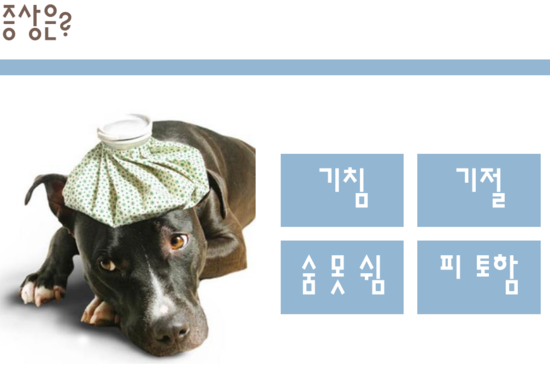 또치PC 이미지