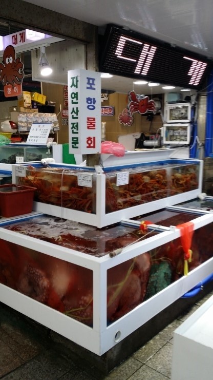 금일수산 이미지