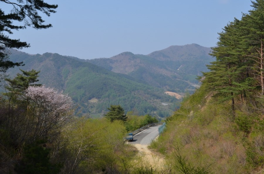 개금약초 이미지