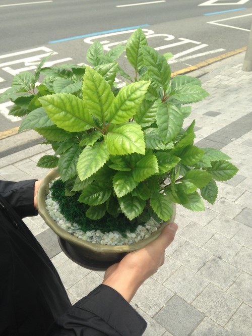 샛별마사지 이미지