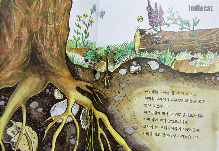 푸른숲환경 이미지