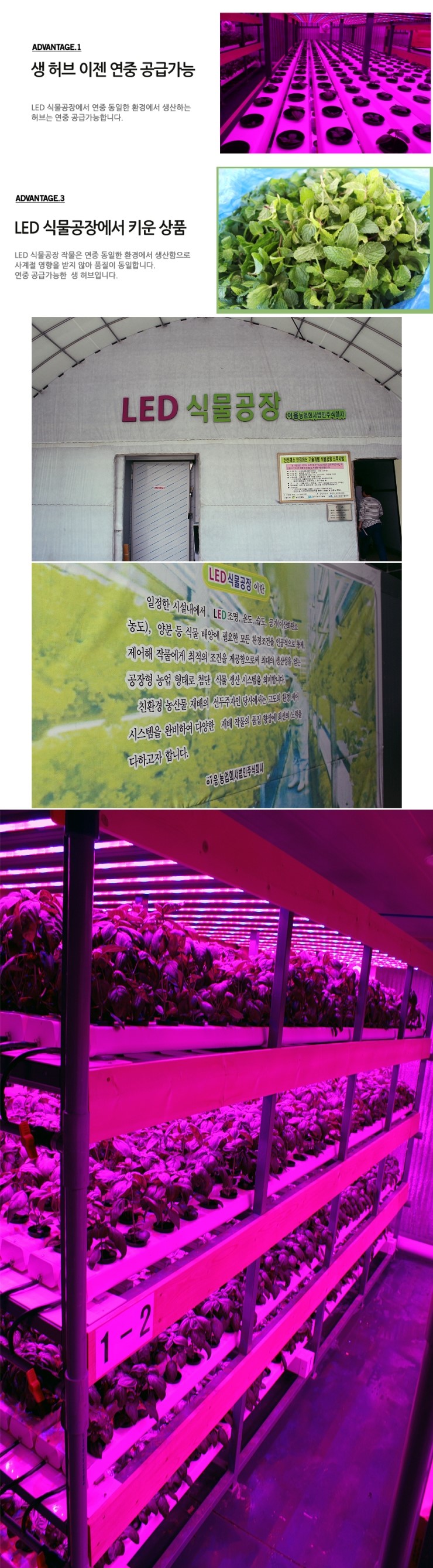 농업회사법인풀로만주식회사 이미지