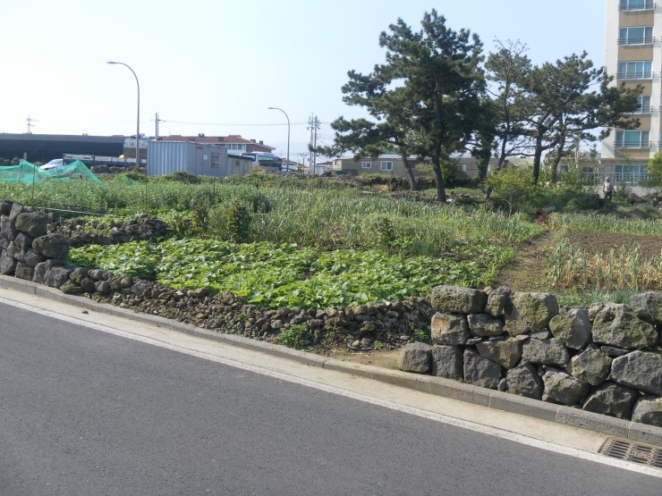 용담민박 이미지