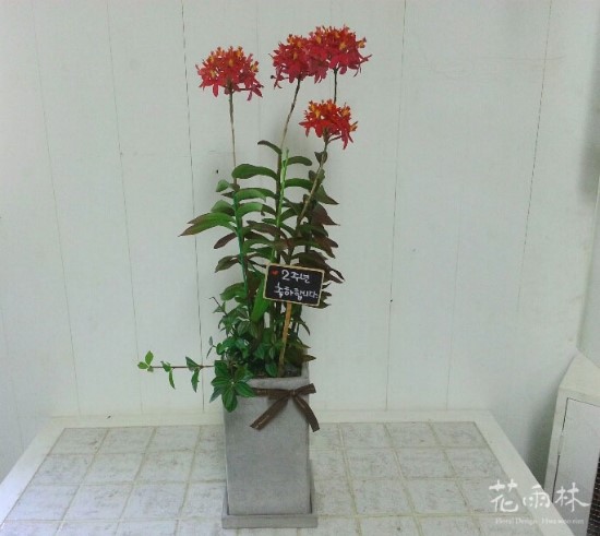 롯데리아뚝섬유원지점 이미지