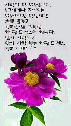 그리운상조 이미지