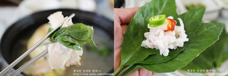 윤희네농장 이미지
