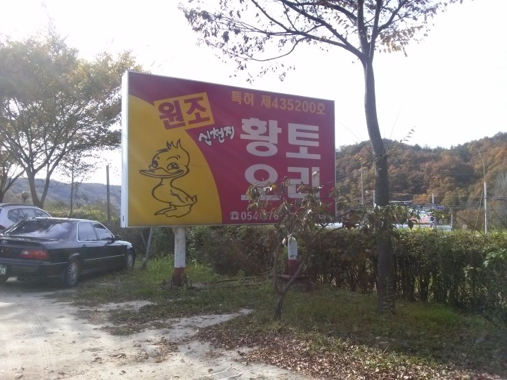 황토오리 이미지