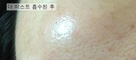 더플로라 이미지
