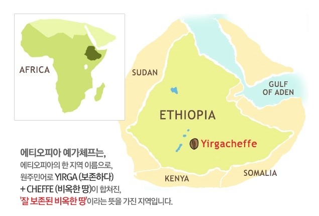 커피여왕 이미지