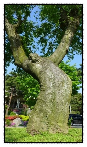(주)태원개발 이미지