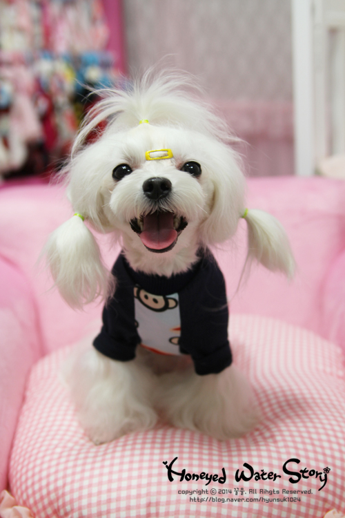 멋쟁이의류 이미지
