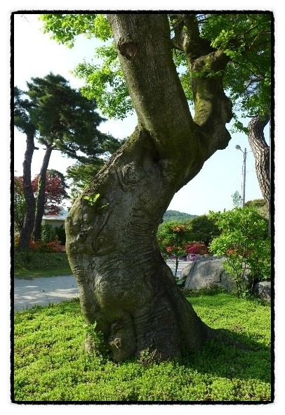 (주)태원개발 이미지