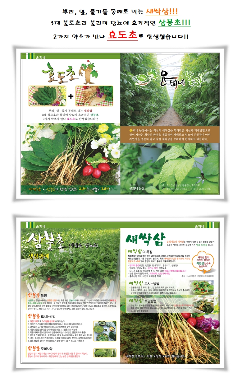 윤희네농장 이미지