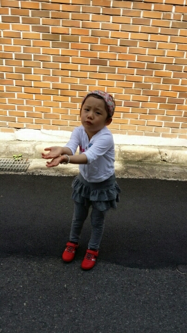 여우깍쟁이 이미지