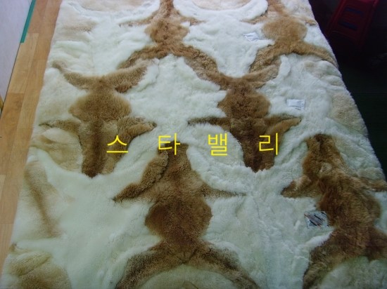 믿음세탁 이미지